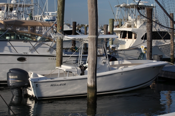 Study highlights benefit of rec fishing in marine parks